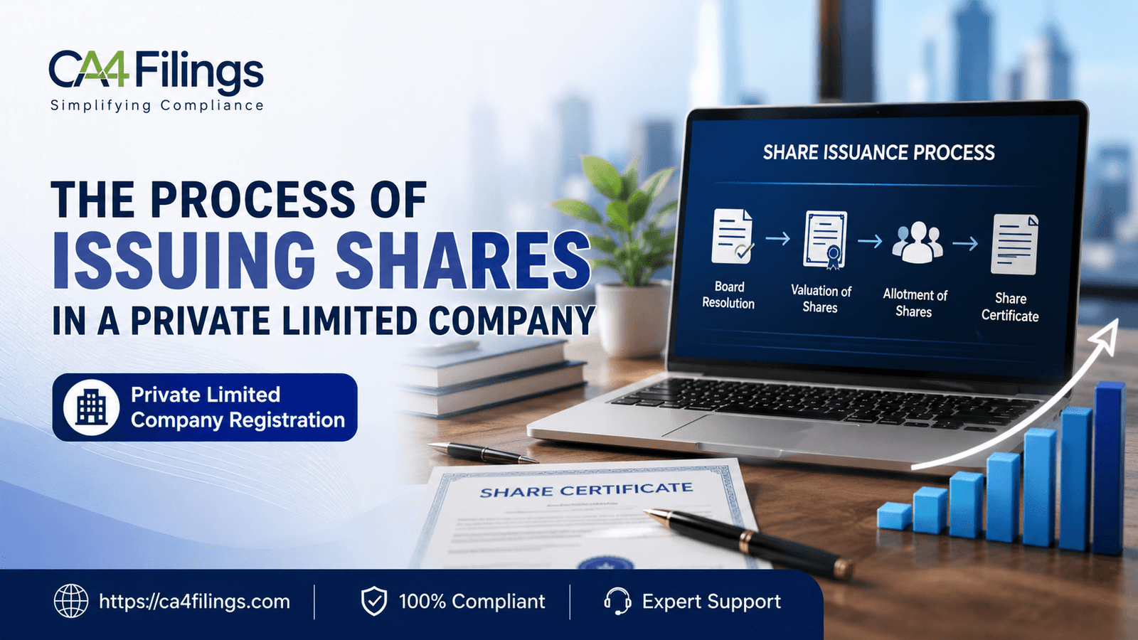 The Process of Issuing Shares in a Private Limited Company